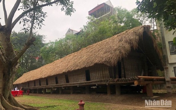 越南民族学博物馆努力保护埃地族的传统长屋 hinh anh 1