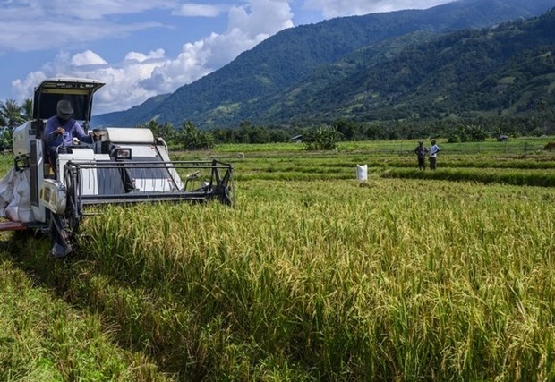 印度尼西亚与韩国签署农业合作协议 hinh anh 1