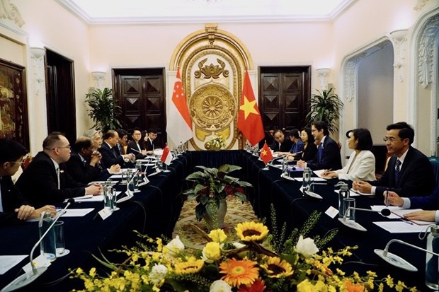 越南与新加坡外交部举行第15次政治磋商 hinh anh 1