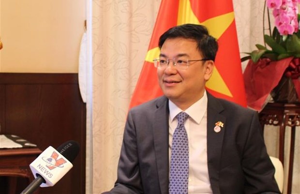 越南驻日本大使范光效：七国集团国家重视与越南的合作关系 hinh anh 1