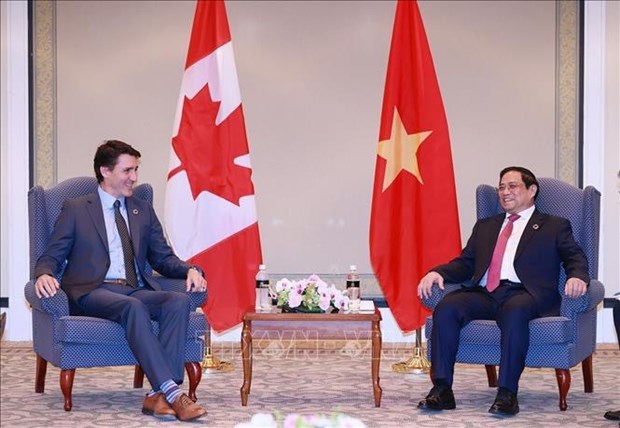 越南政府总理范明政会见加拿大、印度和科摩罗领导 hinh anh 1