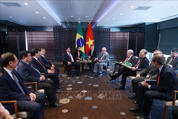 越南政府总理范明政会见巴西总统和乌克兰总统 hinh anh 1