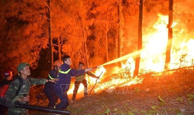 越南政府总理发文指示加强森林防火应急措施 hinh anh 1