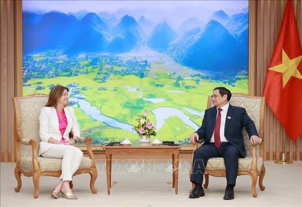 越南政府总理范明政会见斯洛文尼亚副总理兼外交和欧洲事务部长 hinh anh 2