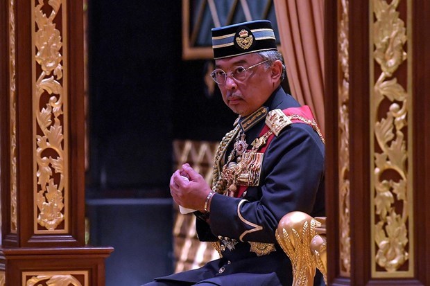 马来西亚国王：团结是国家的资产 hinh anh 1