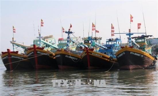 平顺省99%的渔船配备了远程监控管理系统 hinh anh 1