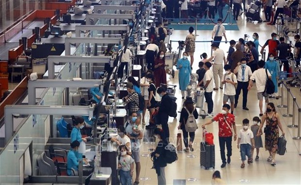 今年前5个月越南民航旅客运输量大幅增长 hinh anh 1