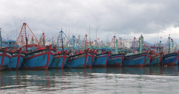 越南渔业工会：提高会员关于海洋及岛屿和打击IUU捕鱼的认识 hinh anh 1