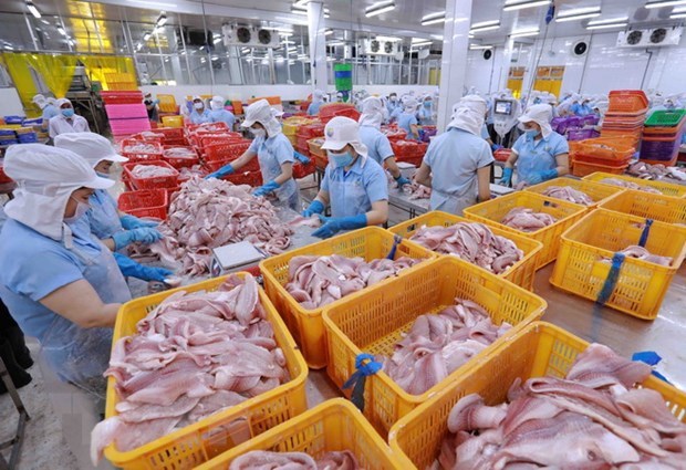 2023年前5月越南农林渔业实现贸易顺差35.5亿美元 hinh anh 2