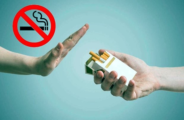 世界无烟日：确保在无烟环境中生活的权利 hinh anh 1