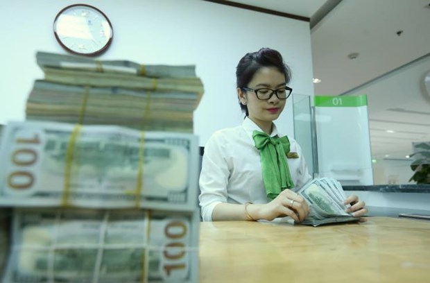6月1日上午越南国内市场美元和人民币价格均下降 hinh anh 1