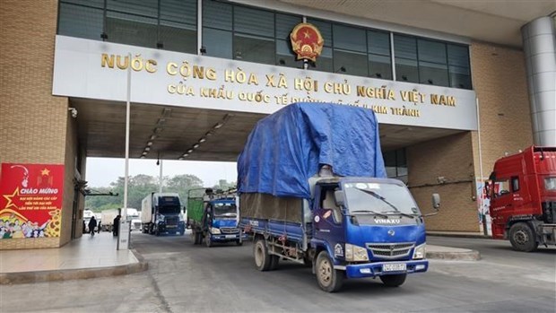 越南通过老街国际口岸向中国出口5400吨荔枝 hinh anh 1