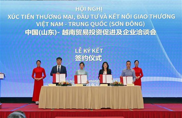 越南-中国（山东）贸易投资促进及企业洽谈会在河内举行 hinh anh 2