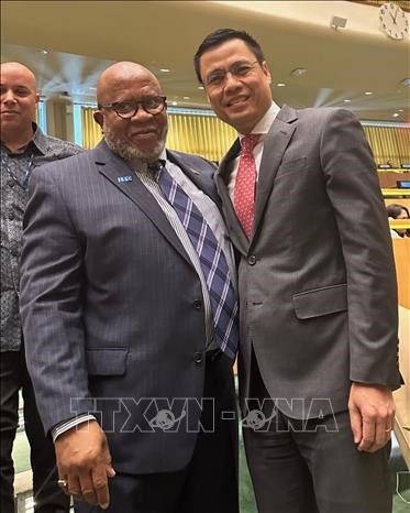 联合国大会选举特立尼达和多巴哥外交官丹尼斯·弗朗西斯为第78届联合国大会主席 hinh anh 2