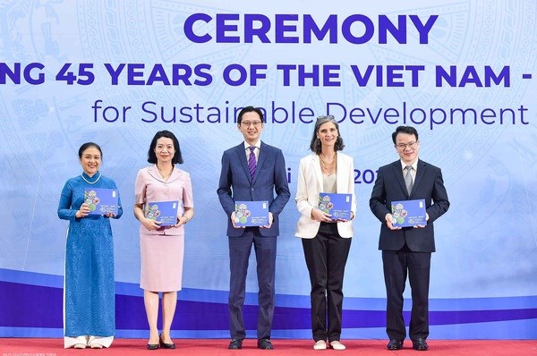 越南 - 联合国开发计划署：45年合作实现可持续发展 hinh anh 2
