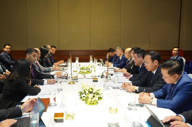 《越南与阿联酋全面经济伙伴协定》：促进越南与阿联酋经贸关系的杠杆 hinh anh 2