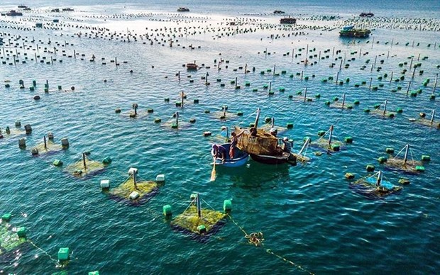 越南与挪威促进海水养殖合作 hinh anh 2