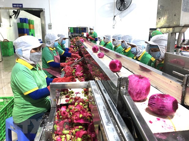 陈青南副部长：建立可持续的越中农产品供应链 hinh anh 2