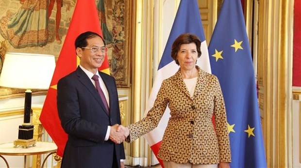 越南与法国希望推动双边关系上升至新水平 hinh anh 1