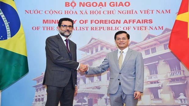 越南与巴西加强合作 促使全面伙伴关系不断走向深入和务实 hinh anh 1