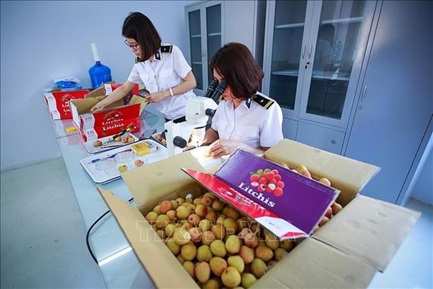 越南第十五届国会第五次会议：力争在北部建立出口水果辐照处理中心 hinh anh 2