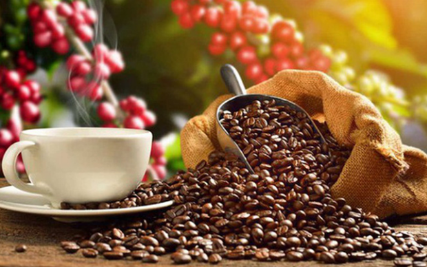 2023年越南咖啡出口有望刷新记录 hinh anh 1