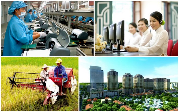 联合国开发计划署高级经济师：气候变化是越南发展中面临的最大挑战 hinh anh 2
