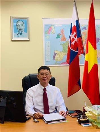 越南驻斯洛伐克大使：越南人社群是助力建设越南与斯洛伐克稳固关系的桥梁 hinh anh 1