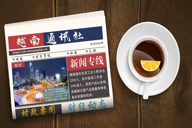 ☕️越通社新闻下午茶（2023.6.14） 时政| Vietnam+ (VietnamPlus)