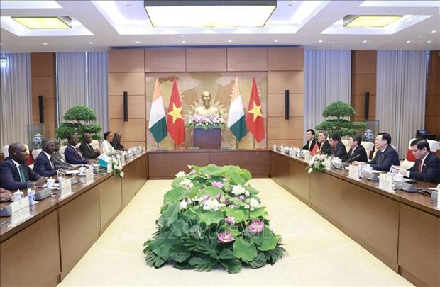 科特迪瓦国民议会议长比克多戈访问越南：为越科两国合作开启新机遇 hinh anh 1