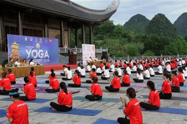 第九届国际瑜伽日：带来生活质量的新价值 hinh anh 1