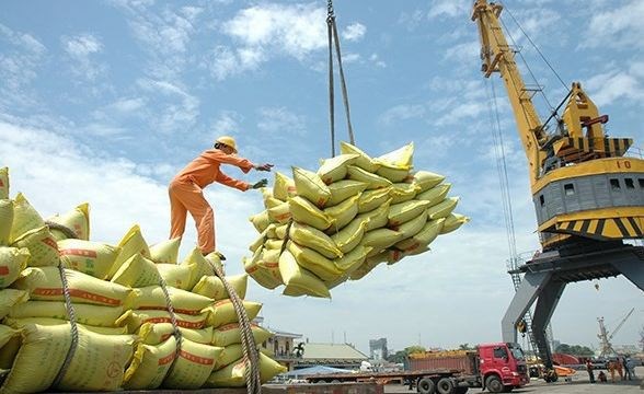 越南保持菲律宾最大大米供应国地位 hinh anh 1