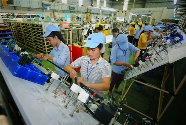 越南统计总局局长：外国投资者仍对越南宏观经济和投资环境充满信心 hinh anh 2