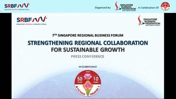 2023年新加坡商业论坛即将在河内举行 hinh anh 1
