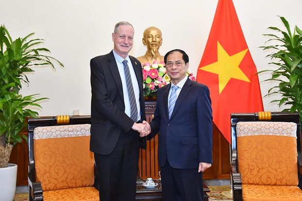 越南外交部部长裴青山会见以色列驻越大使 hinh anh 1