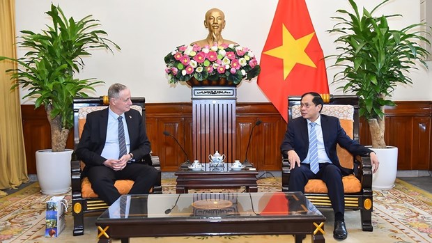 越南外交部部长裴青山会见以色列驻越大使 hinh anh 2
