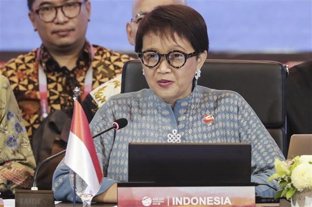 印度尼西亚强调《东南亚友好合作条约》意义 hinh anh 1