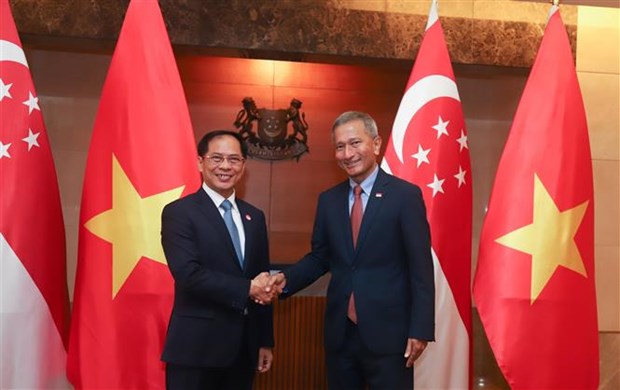 越南与新加坡建交50周年：越南外交部长裴青山对新加坡进行正式访问 hinh anh 1
