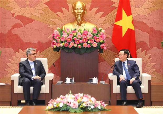 越南国会主席王廷惠会见印度尼西亚和伊朗大使 hinh anh 2