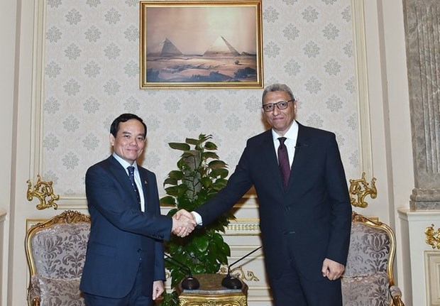 越南政府副总理陈流光会见埃及上议院议长和众议院第一副议长 hinh anh 2