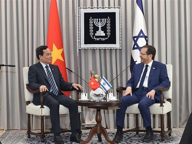 越南与以色列促进友好合作关系 hinh anh 2