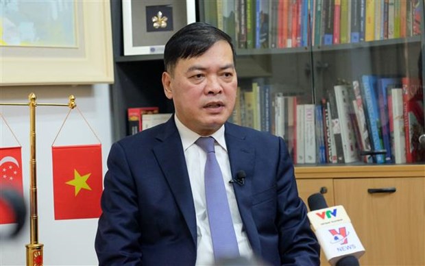 越南与新加坡建交50周年：梅福勇大使认为两国关系处于极为良好阶段 hinh anh 1