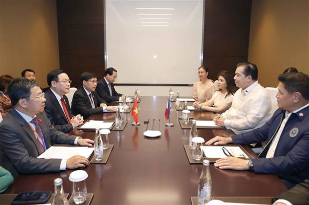 越南国会主席王廷惠会见菲律宾众议院议长 hinh anh 2