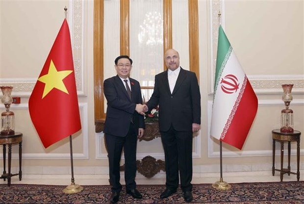 越南国会主席王廷惠与伊朗议会议长卡利巴夫举行会谈 hinh anh 1
