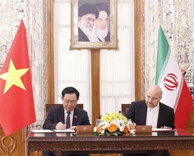 越南国会主席王廷惠与伊朗议会议长卡利巴夫举行会谈 hinh anh 2