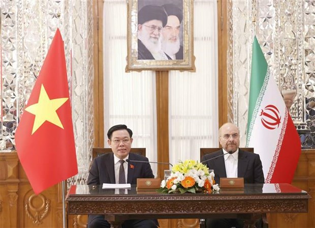 越南国会主席王廷惠与伊朗议会议长卡利巴夫共见记者 hinh anh 1