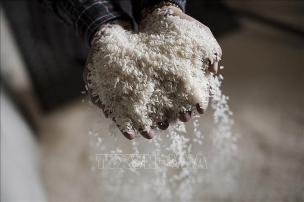 菲律宾考虑延长大米和商品进口关税减免期限 hinh anh 1