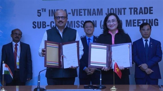 越南与印度贸易联合委员会第五次会议在印度举行 hinh anh 1