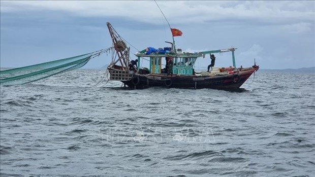 广宁省将从9月1日起没收非法捕捞船舶及其捕获的水产品 hinh anh 1