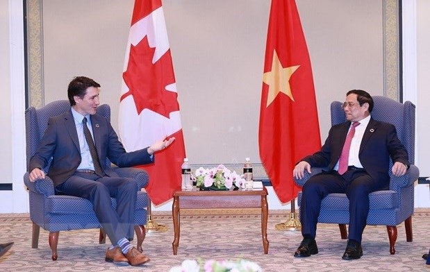 加拿大驻越南大使肖恩·佩里·斯泰尔：越南与加拿大关系实现“跨越式发展” hinh anh 2
